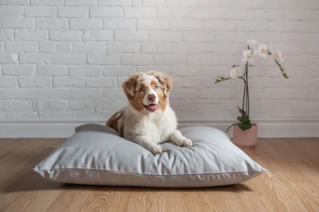 Cotton-Dog-Bed