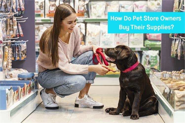 How Do Pet Store Owners Buy Their Supplies?