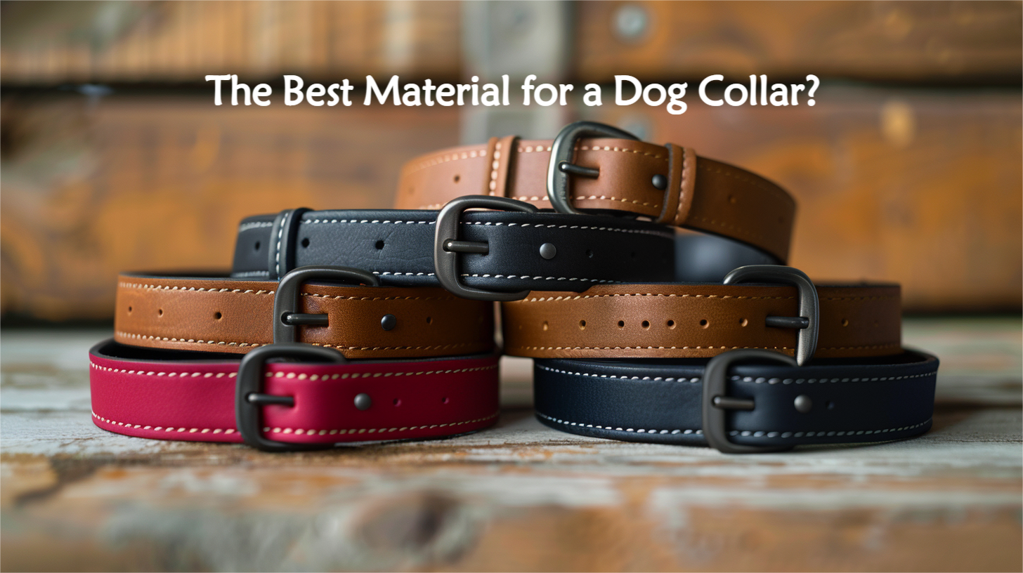 Best-Material-for-Dog Collar