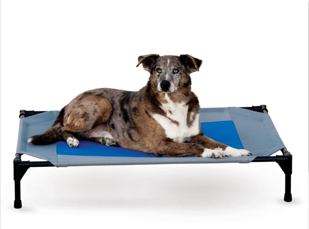 Cooling-Pet-Beds