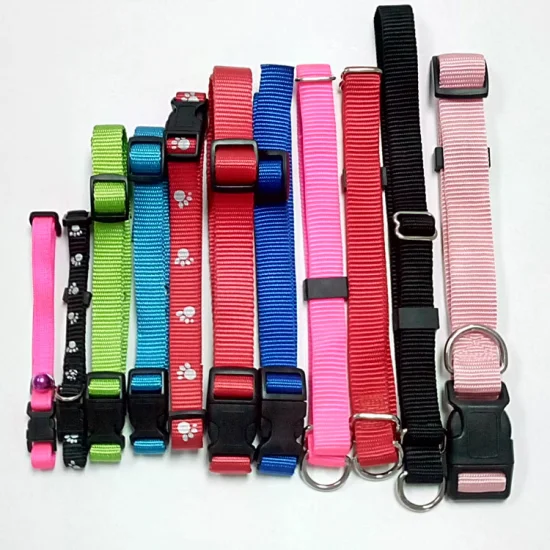 Nylon-webbing-dog-collar